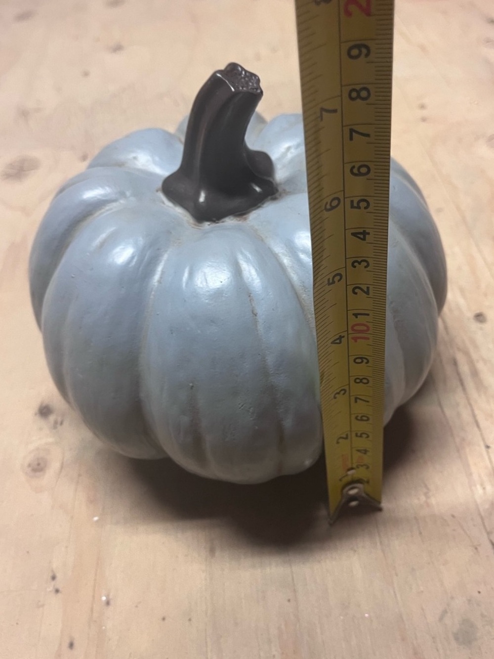 Blue pumpkin - Picture 2 of 4